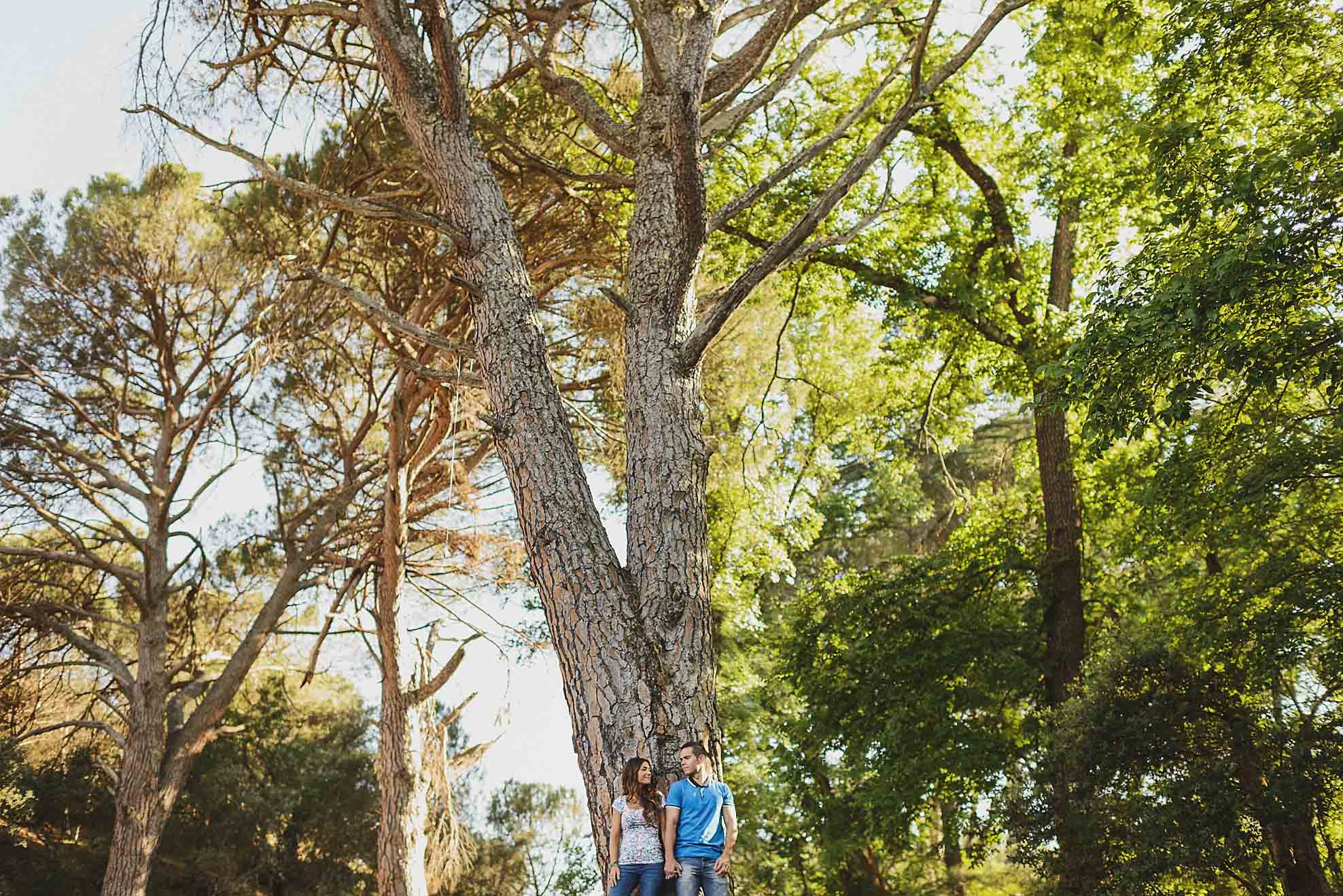 ana & carlos preboda en Jaén0049 Fotografía artistica de boda Jaén bosque