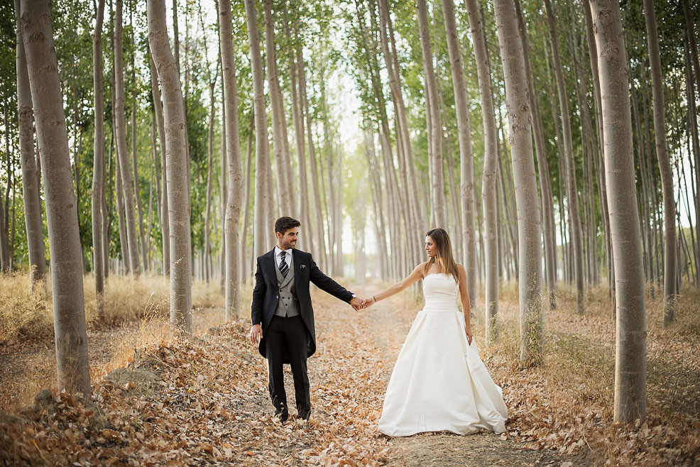 fotografía artistica de boda en el bosque