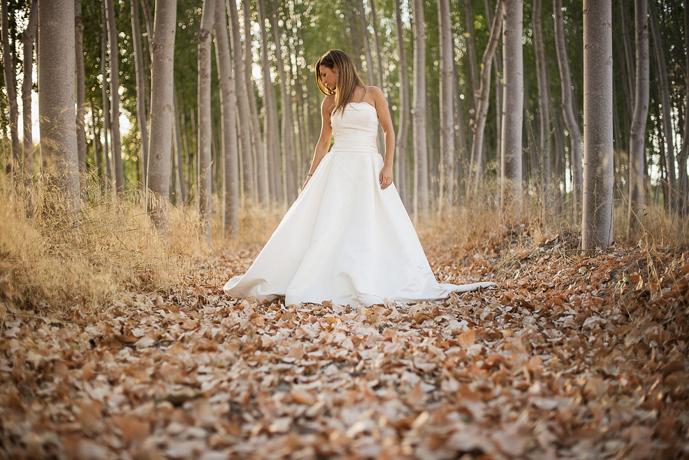 fotografía artistica de boda en el bosque Novia otoño