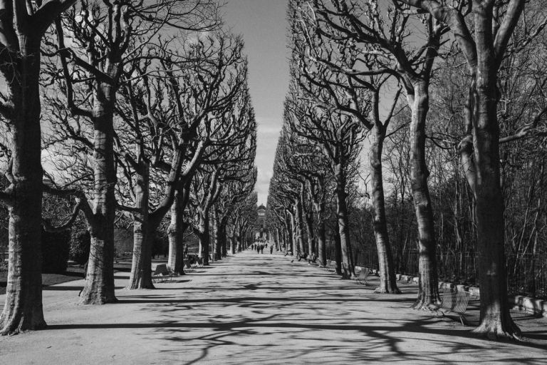 Paris fotografía 2015034