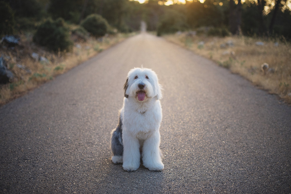 Fotos de Pareja artisticas Jaén 0041