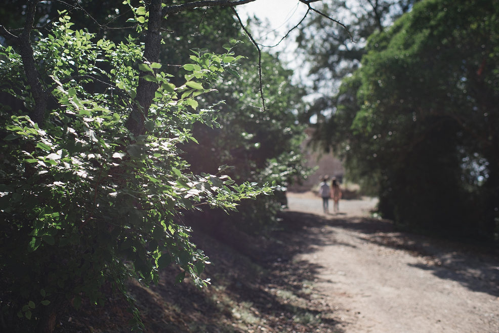 Preboda Sara y Manuel Fotógrafo de BODA Jaén03