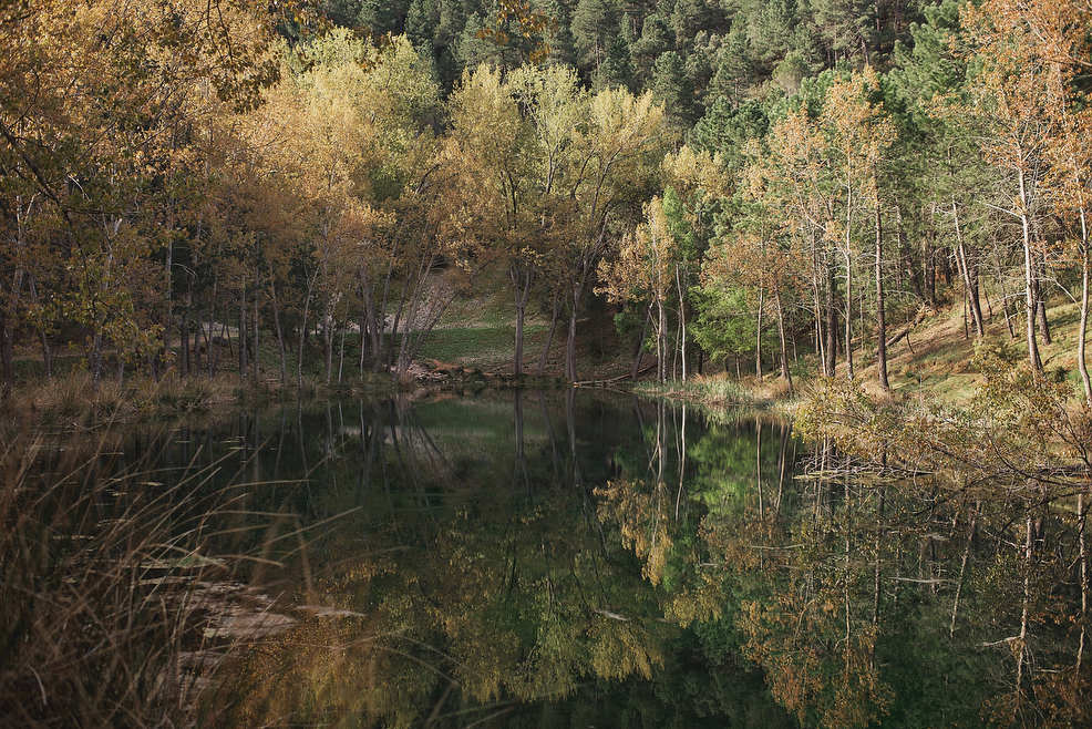 FOTOS MODERNAS PREBODA CAMPO ANDALUCÍA016