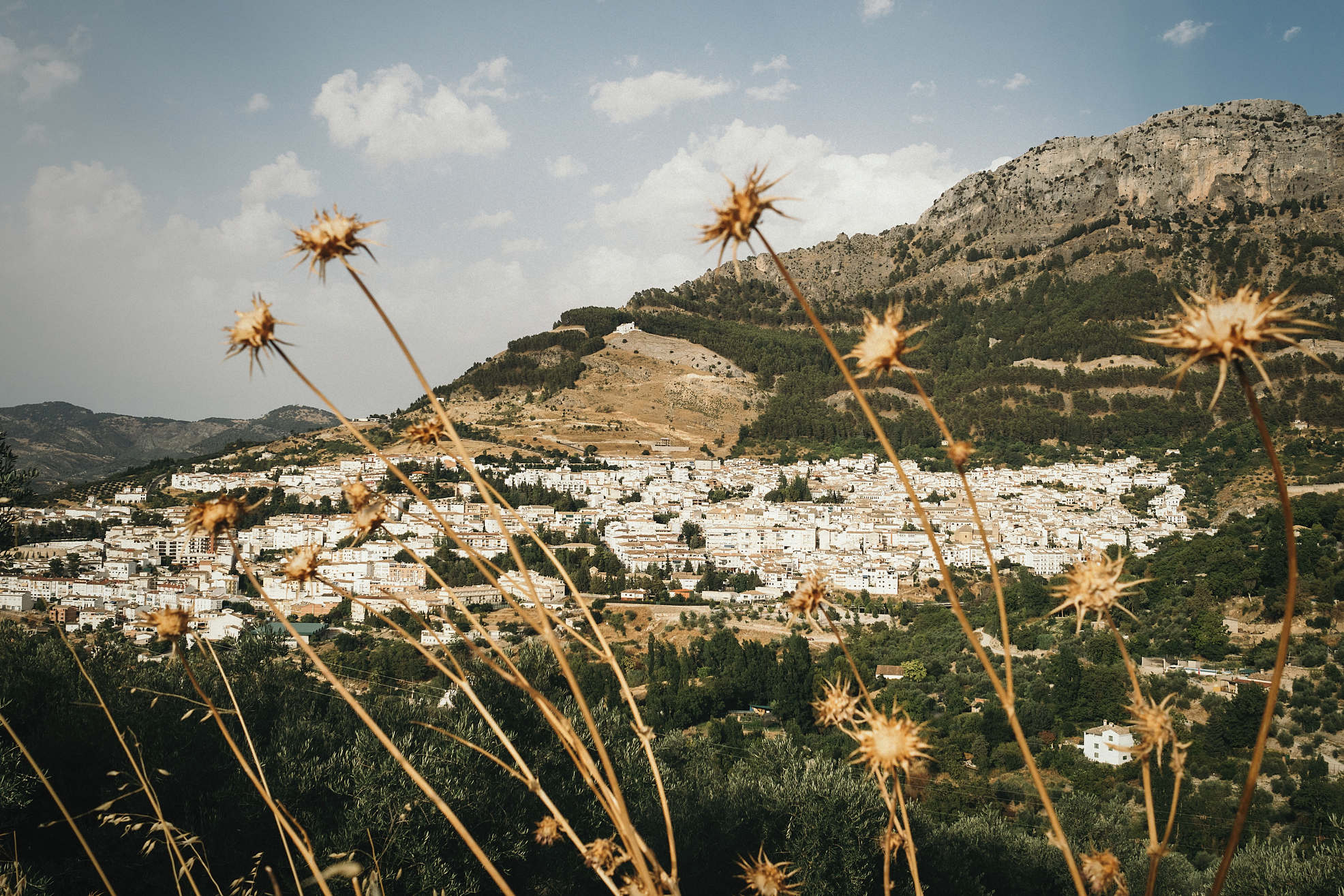 fotos_naturales_boda_maria_rich_gustavopozo_101