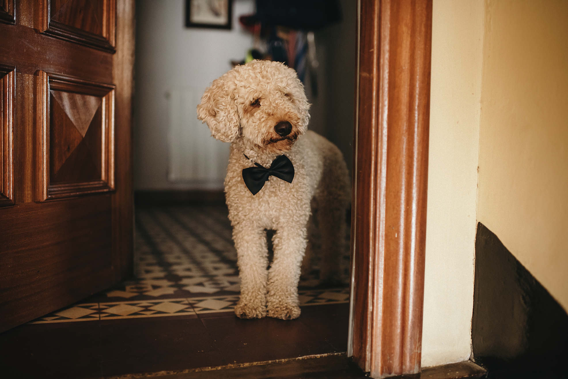 fotos_naturales_boda_maria_rich_gustavopozo_151